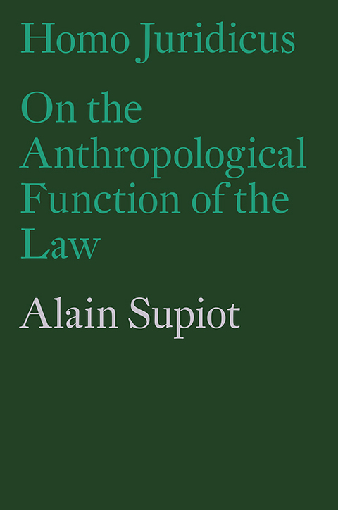 Cover image for book Homo Juridicus
