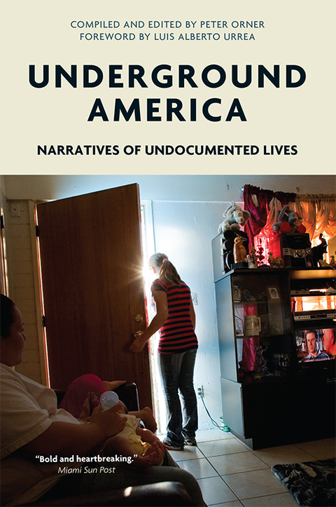 Cover image for book Underground America