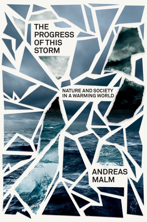 Cover image for book The Progress of This Storm