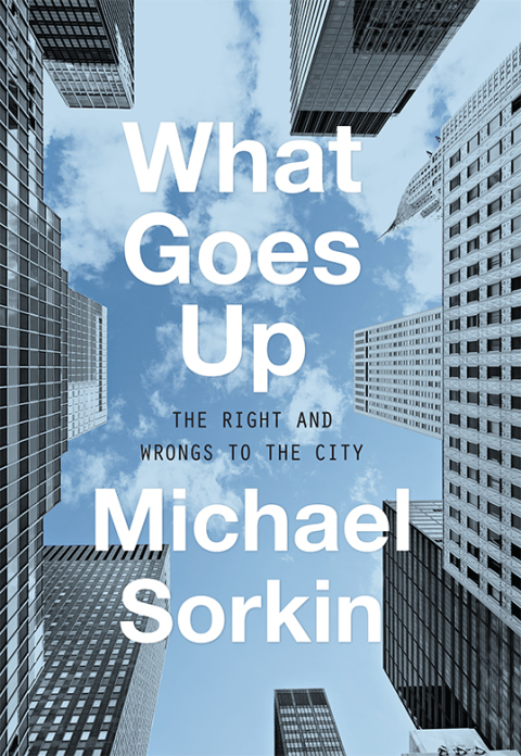 Cover image for book What Goes Up