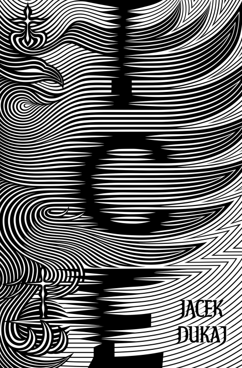 Cover image for book Ice