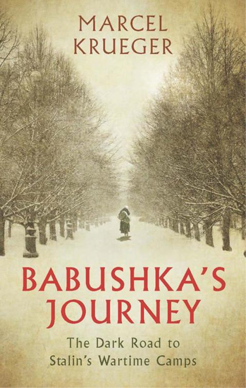 Cover image for book Babushka's Journey