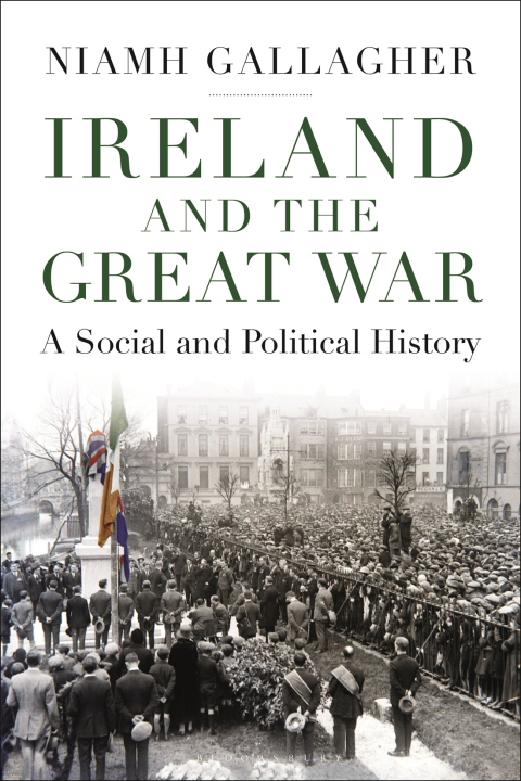 Cover image for book Ireland and the Great War