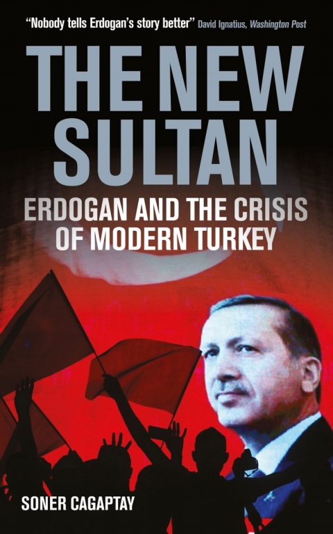 Cover image for book The New Sultan