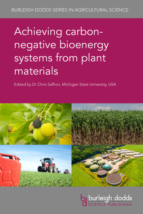Cover image for book Achieving carbon-negative bioenergy systems from plant materials
