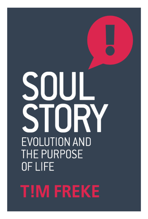 Cover image for book Soul Story