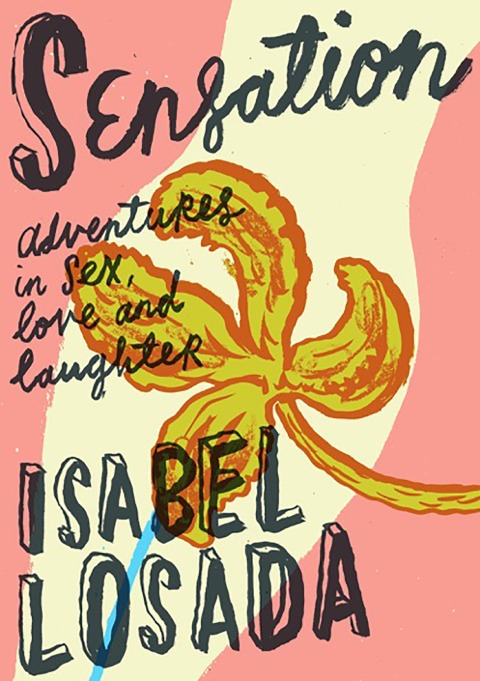 Cover image for book Sensation