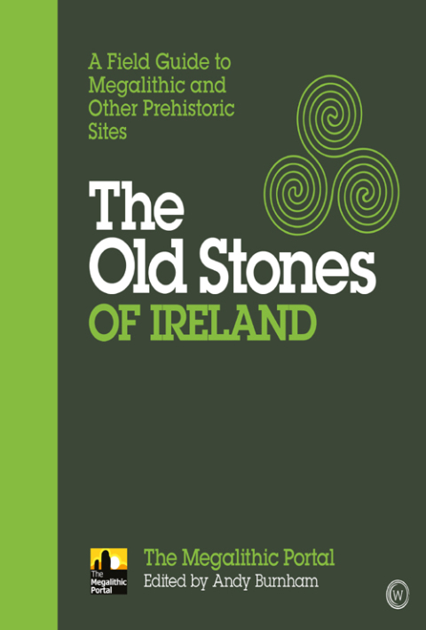 Cover image for book The Old Stones of Ireland