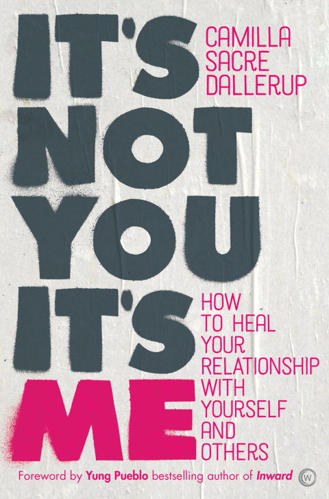 Cover image for book It's Not You, It's Me
