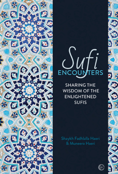 Cover image for book Sufi Encounters