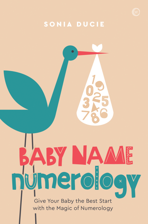 Cover image for book Baby Name Numerology