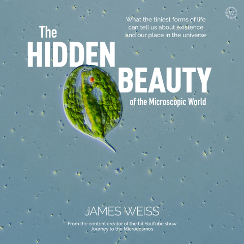 Cover image for book The Hidden Beauty of the Microscopic World