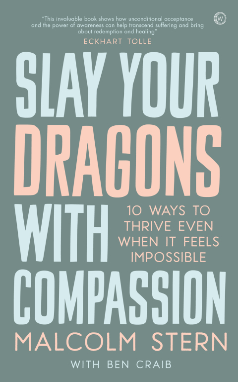 Cover image for book Slay Your Dragons With Compassion