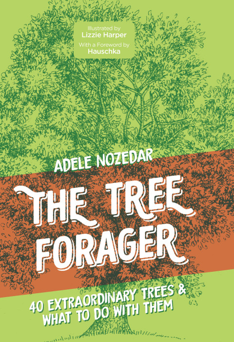 Cover image for book The Tree Forager