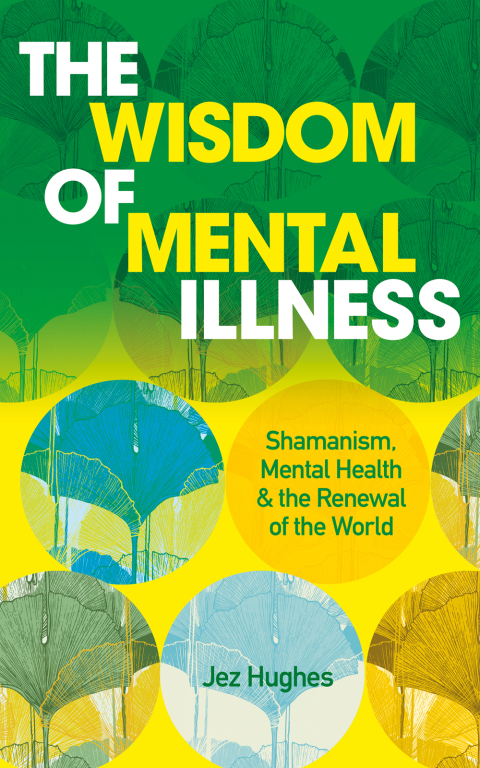 Cover image for book The Wisdom of Mental Illness