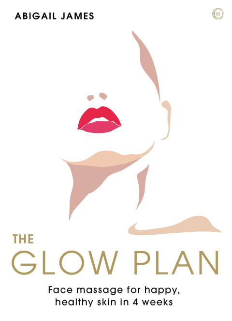 Cover image for book The Glow Plan