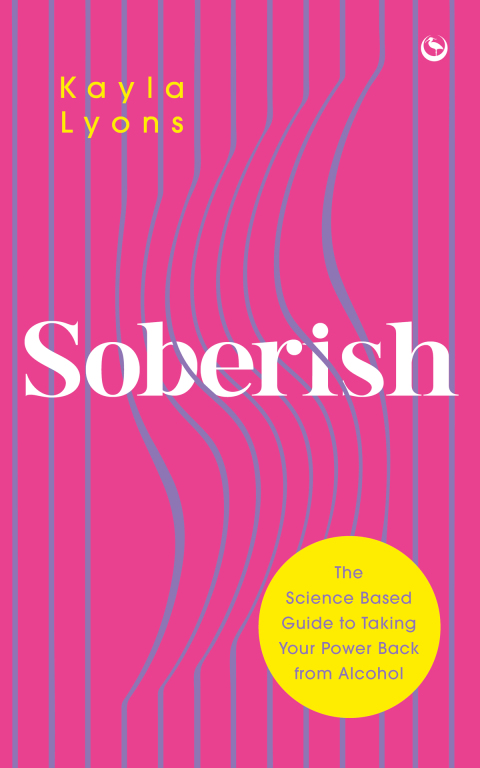 Cover image for book Soberish