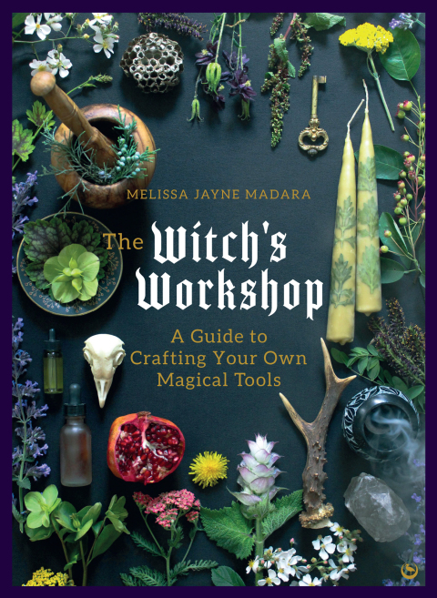 Cover image for book The Witch's Workshop