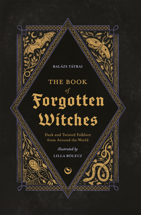Cover image for book The Book of Forgotten Witches