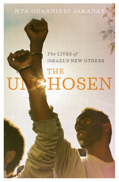 Cover image for book The Unchosen