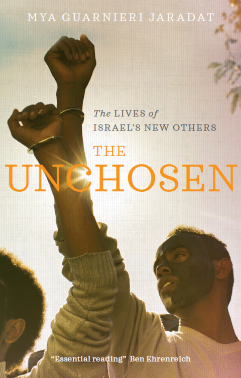 Cover image for book The Unchosen