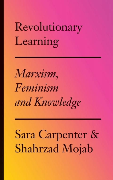 Cover image for book Revolutionary Learning