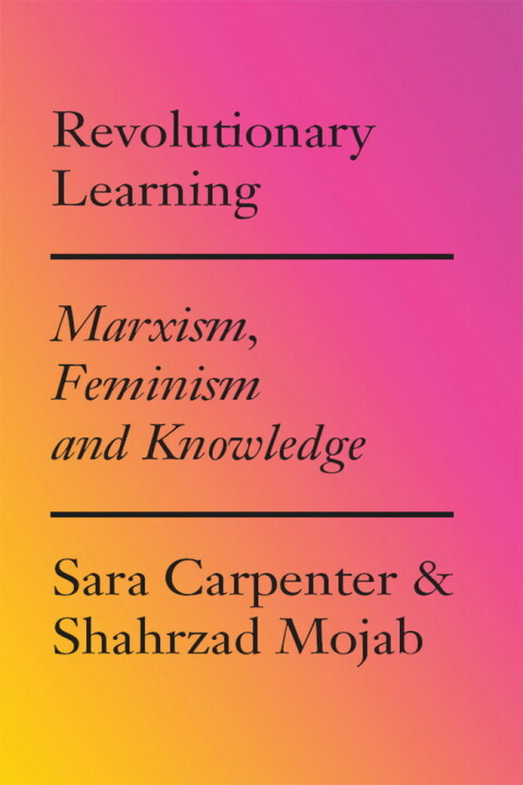 Cover image for book Revolutionary Learning