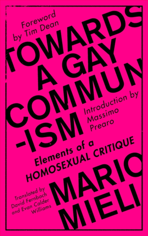 Cover image for book Towards a Gay Communism