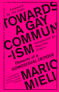 Cover image: Towards a Gay Communism 1st edition 9780745399515