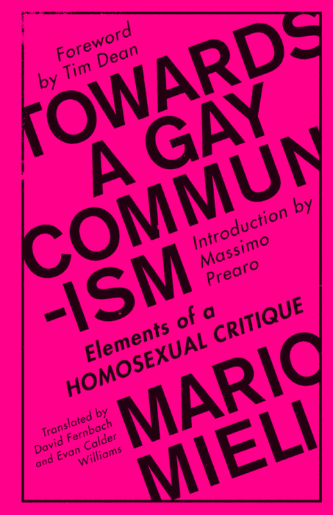 Cover image for book Towards a Gay Communism