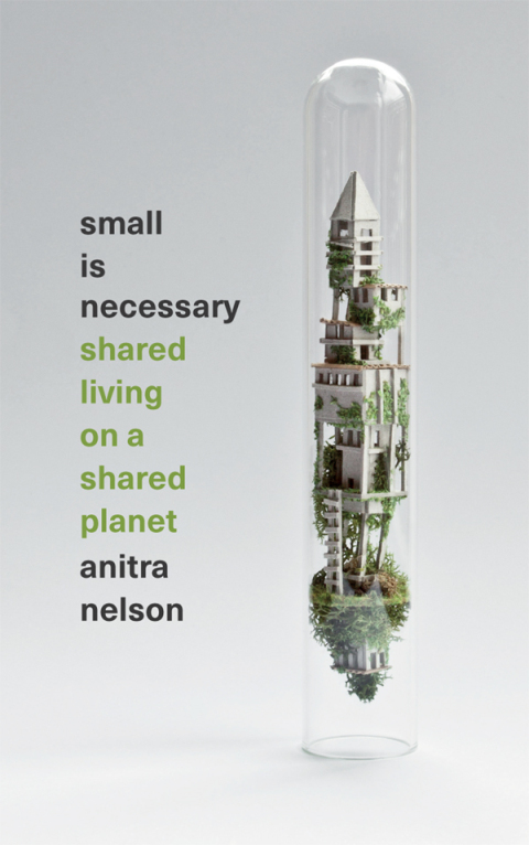 Cover image for book Small is Necessary
