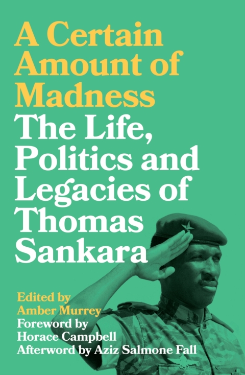 Cover image for book A Certain Amount of Madness