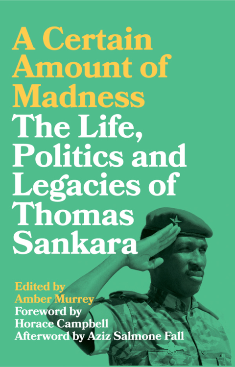 Cover image for book A Certain Amount of Madness