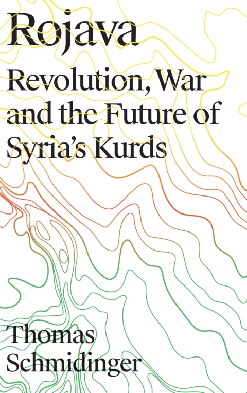 Cover image for book Rojava
