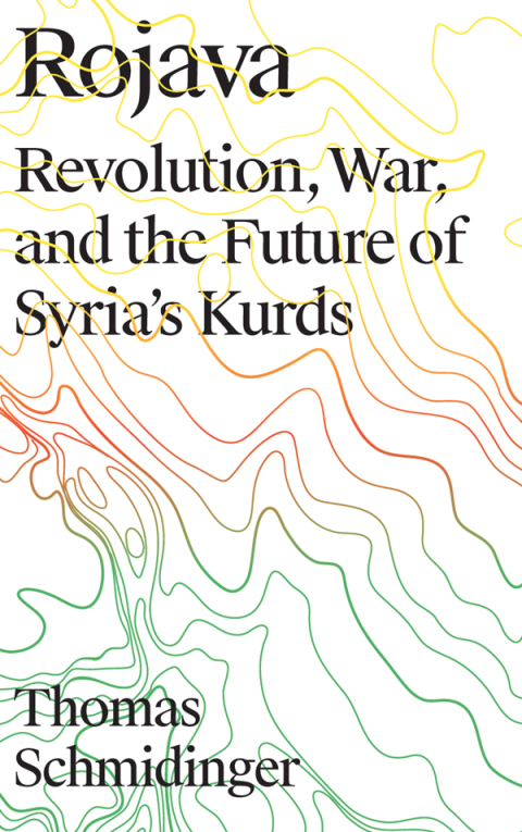 Cover image for book Rojava