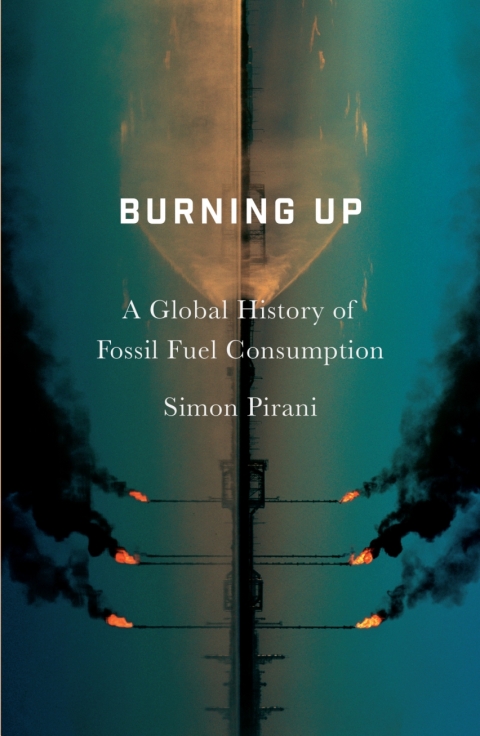 Cover image for book Burning Up