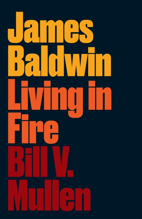 Cover image for book James Baldwin