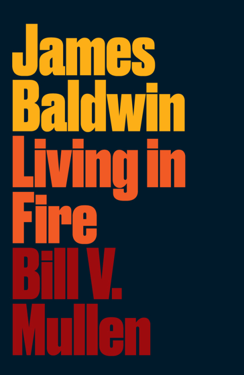 Cover image for book James Baldwin
