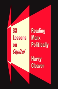 Titelbild: 33 Lessons on Capital 1st edition 9780745339986