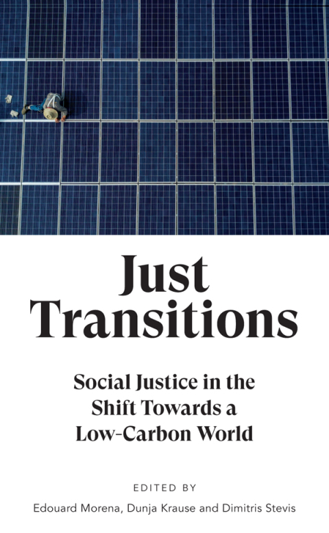 Cover image for book Just Transitions