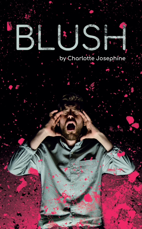 Cover image for book Blush