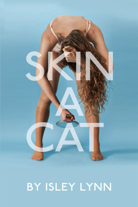 Cover image for book Skin A Cat