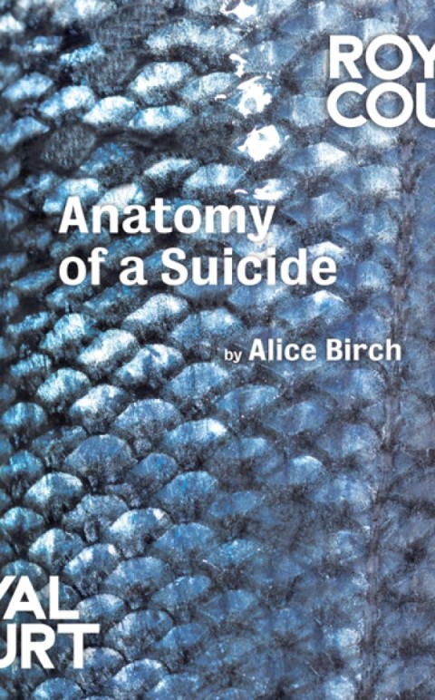 Anatomy of a Suicide 