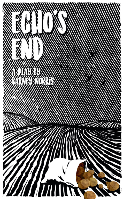 Cover image for book Echo's End