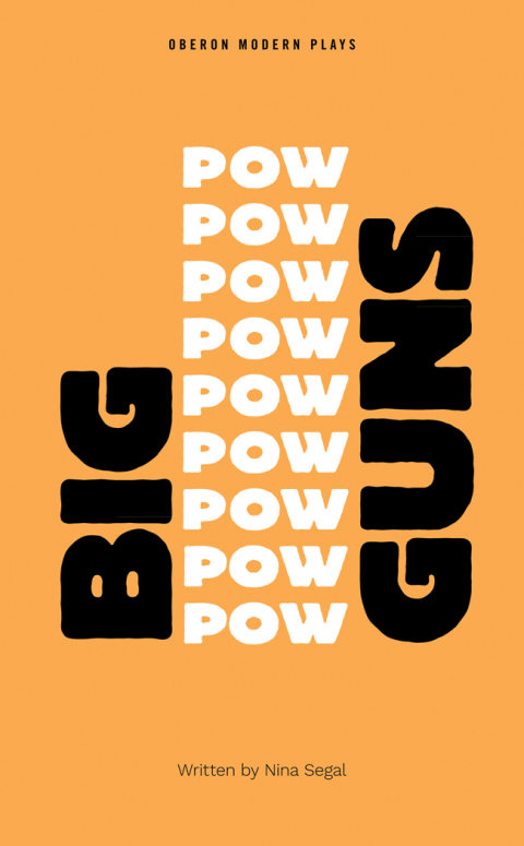 Cover image for book Big Guns