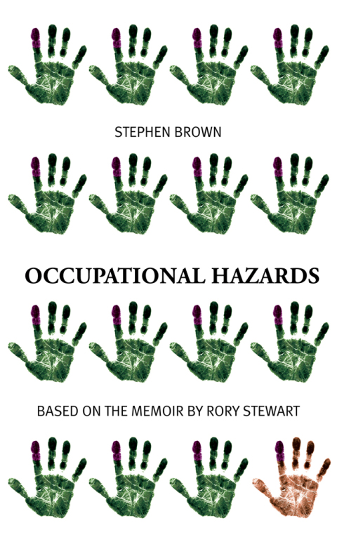 Cover image for book Occupational Hazards