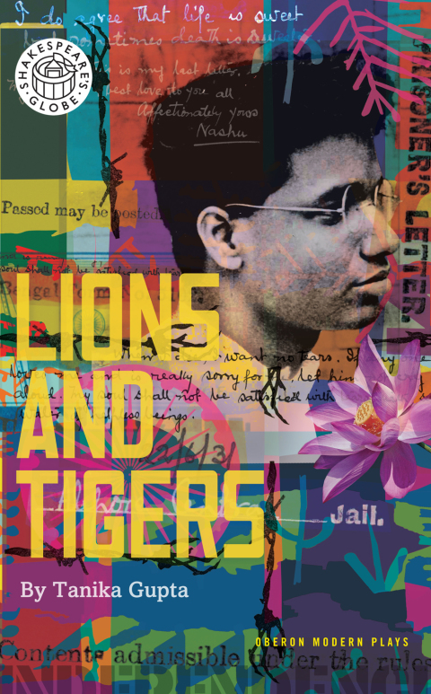 Cover image for book Lions and Tigers