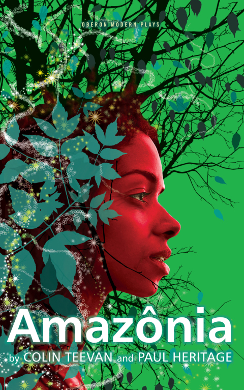 Cover image for book Amazonia