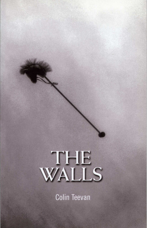 Cover image for book The Walls