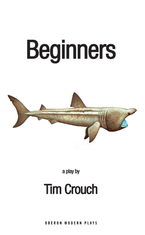 Cover image for book Beginners